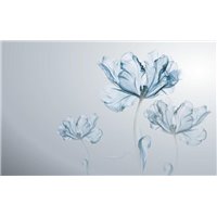 Портреты картины репродукции на заказ - Прозрачные цветы - 3D фотообои|3Д обои в спальню