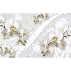 Ветви орхидей - 3D фотообои|3D цветы - Модульная картины, Репродукции, Декоративные панно, Декор стен