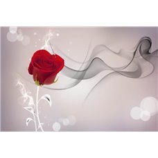 Картина на холсте по фото Модульные картины Печать портретов на холсте Алая роза - 3D фотообои|3Д обои для зала