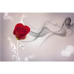 Алая роза - 3D фотообои|3Д обои для зала - Модульная картины, Репродукции, Декоративные панно, Декор стен