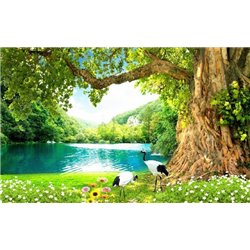 Цапли на берегу озера - Фотообои природа|озера - Модульная картины, Репродукции, Декоративные панно, Декор стен