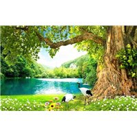 Цапли на берегу озера - Фотообои природа|озера