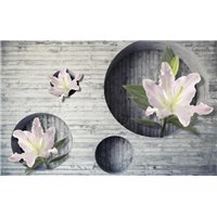 Портреты картины репродукции на заказ - Лилии на деревянной стене - 3D фотообои