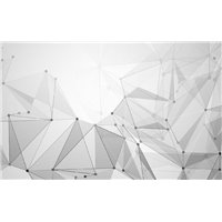 Векторы - Фотообои Фоны и текстуры|другие