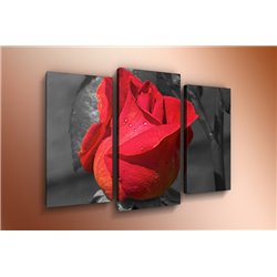 Модульная картина на холсте - m-000509 - Модульная картины, Репродукции, Декоративные панно, Декор стен