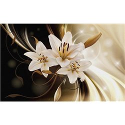 Две стороны - 3D фотообои|3D цветы - Модульная картины, Репродукции, Декоративные панно, Декор стен
