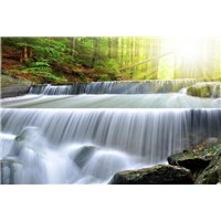 Пороги в лесу - 3D фотообои|3D расширяющие пространство