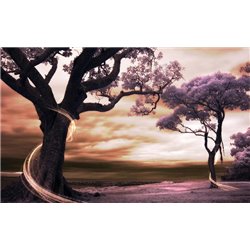 Деревья - 3D фотообои|3Д обои для зала - Модульная картины, Репродукции, Декоративные панно, Декор стен