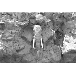 Каменный слон - 3D фотообои - Модульная картины, Репродукции, Декоративные панно, Декор стен