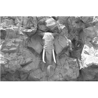 Портреты картины репродукции на заказ - Каменный слон - 3D фотообои