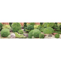 Ландшафтная композиция - Фотообои природа - Модульная картины, Репродукции, Декоративные панно, Декор стен