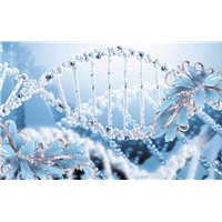 Портреты картины репродукции на заказ - Украшение - 3D фотообои|3Д обои в спальню