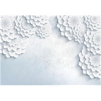 Портреты картины репродукции на заказ - Стена с белыми лепестками - 3D фотообои|3Д обои на кухню