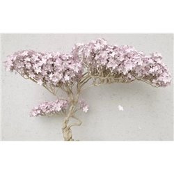 Летит лепесток - 3D фотообои|3D цветы - Модульная картины, Репродукции, Декоративные панно, Декор стен