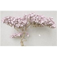Портреты картины репродукции на заказ - Летит лепесток - 3D фотообои|3D цветы