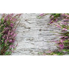 Картина на холсте по фото Модульные картины Печать портретов на холсте Лаванда - Фотообои цветы|лаванды