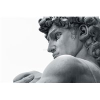 Портреты картины репродукции на заказ - Давид - Черно-белые фотообои