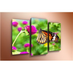 Модульная картина на холсте - m-000160 - Модульная картины, Репродукции, Декоративные панно, Декор стен