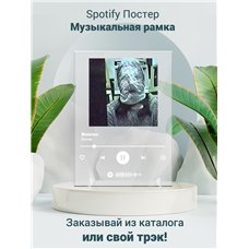 Картина на холсте по фото Модульные картины Печать портретов на холсте Bones-Molotov - постер Spotify