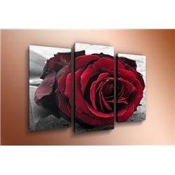 Модульная картина на холсте - m-000568 - Модульная картины, Репродукции, Декоративные панно, Декор стен