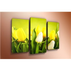Модульная картина на холсте - m-000586 - Модульная картины, Репродукции, Декоративные панно, Декор стен
