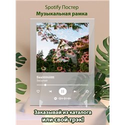 Ssshhhiiittt - Засыпай - постер Spotify - Модульная картины, Репродукции, Декоративные панно, Декор стен