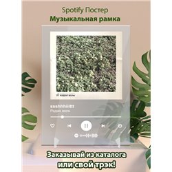 ssshhhiiittt - Радио волн - постер Spotify - Модульная картины, Репродукции, Декоративные панно, Декор стен