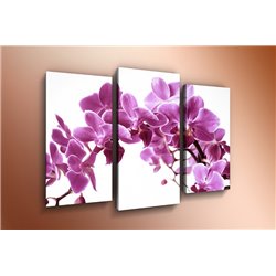 Модульная картина на холсте - m-000579 - Модульная картины, Репродукции, Декоративные панно, Декор стен