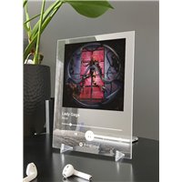 Портреты картины репродукции на заказ - Lady Gaga - Alice - постер Spotify