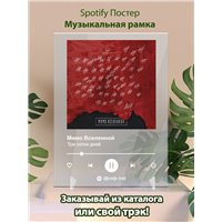 Портреты картины репродукции на заказ - Мимо Вселенной - Три сотни дней - постер Spotify