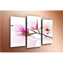 Модульная картина на холсте - m-000253 - Модульная картины, Репродукции, Декоративные панно, Декор стен