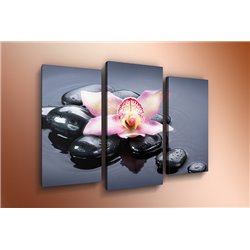 Модульная картина на холсте - m-000563 - Модульная картины, Репродукции, Декоративные панно, Декор стен