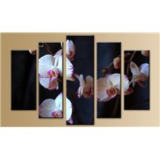 Картина на холсте по фото Модульные картины Печать портретов на холсте Модульная картина на постерной бумаге - 5m-560