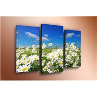 Портреты картины репродукции на заказ - Модульная картина на постерной бумаге - m-000233