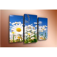 Портреты картины репродукции на заказ - Модульная картина на постерной бумаге - m-000224
