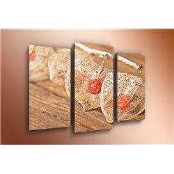 Модульная картина на  акриле - m-000232 - Модульная картины, Репродукции, Декоративные панно, Декор стен