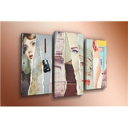 Модульная картина на  акриле - m-002472 - Модульная картины, Репродукции, Декоративные панно, Декор стен
