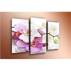 Модульная картина на  метале - m-000758 - Модульная картины, Репродукции, Декоративные панно, Декор стен