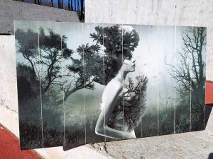 Фото на досках напечатать