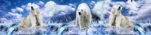 animals-0008