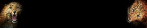 novinki-0016