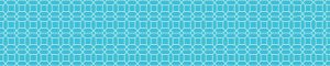 fon-0303