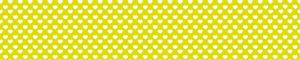 fon-0305
