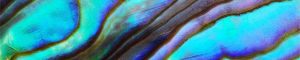 fon-0425