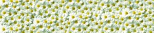 skinali-mdf-arthata-46