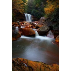 Фотообои - Бурые воды