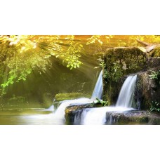 Фотообои - Солнечные лучи