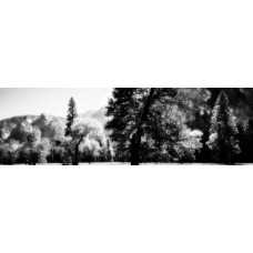 Фотообои - Черное и белое