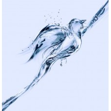 Фотообои - Птичка из воды