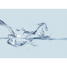 Фотообои - Рыбка в воде